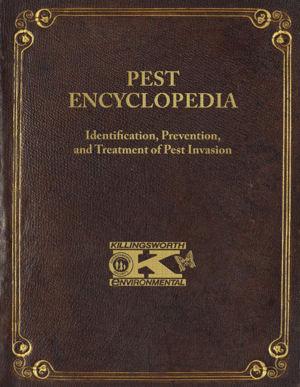 Pes Encyclopedia